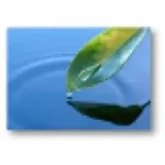 Aqua Verde LLC