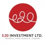 E20 Investment
